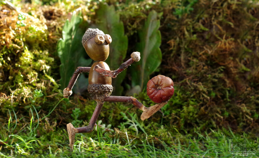 Meet The Acorn People Of Shirebrook Valley Meet The Acorn People Of Shirebrook Valley