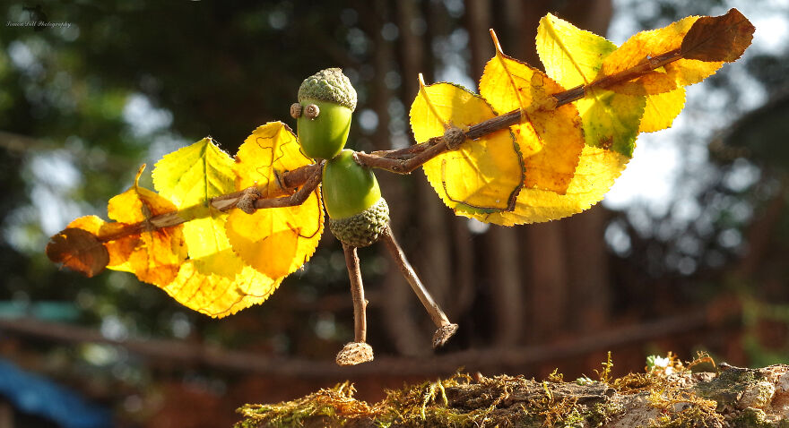 Meet The Acorn People Of Shirebrook Valley Meet The Acorn People Of Shirebrook Valley