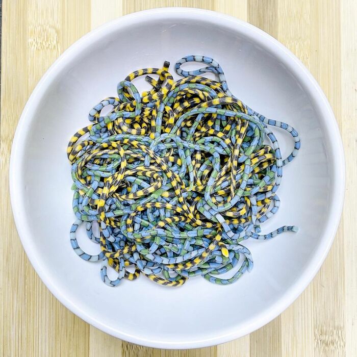 Colorful unique pasta designs inspired by snakes served in a white bowl on a wooden surface.
