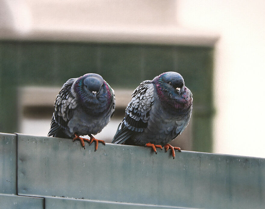 Meet The Photorealist Paintings Of Johannes Wessmark
