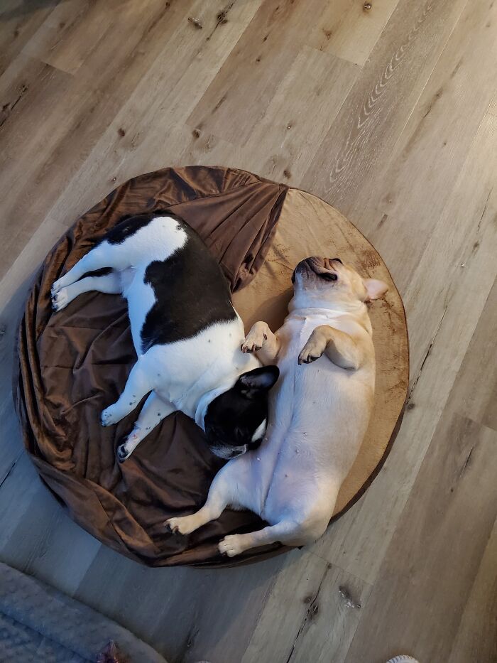 Total Relaxation Mode Achieved!