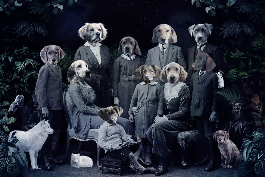 Never Forget The Forest - We Created Magical Collages Dedicated To Animals, Nature And Our Fragile Planet. Never Forget The Forest - We Created Magical Collages Dedicated To Animals, Nature And Our Fragile Planet.