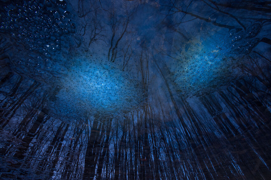 Highly Commended, Nature Art: "Egg Universe" By Imre Potyó