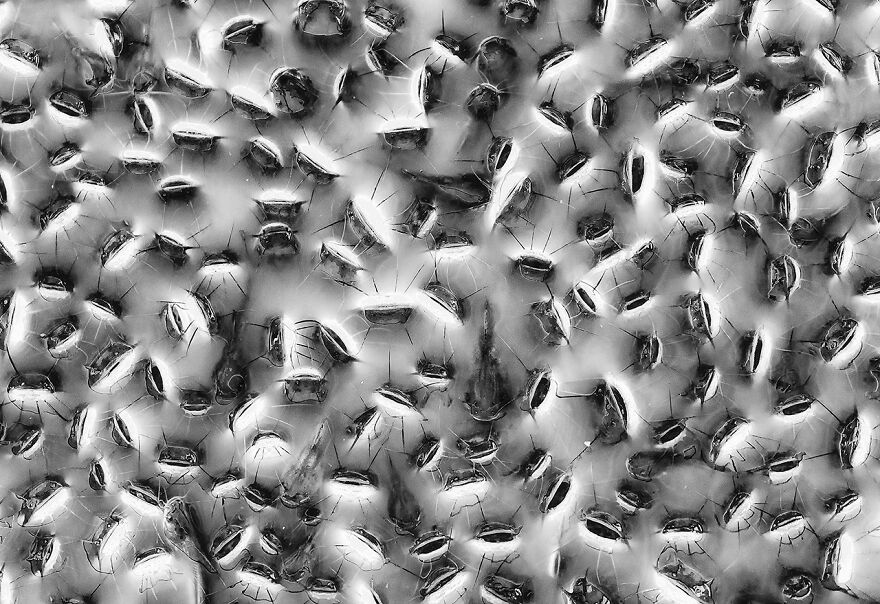 Highly Commended, Black And White: "Shortness Of Breath" By Csaba Daróczi