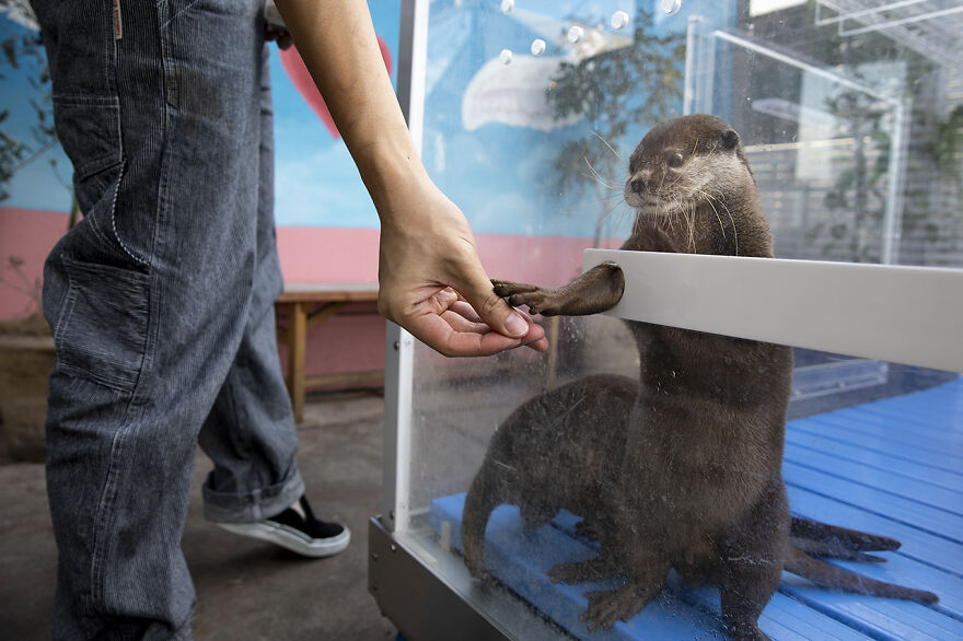 Highly Commended, Human And Nature: "The Hand That Feeds" By Andrew Upton