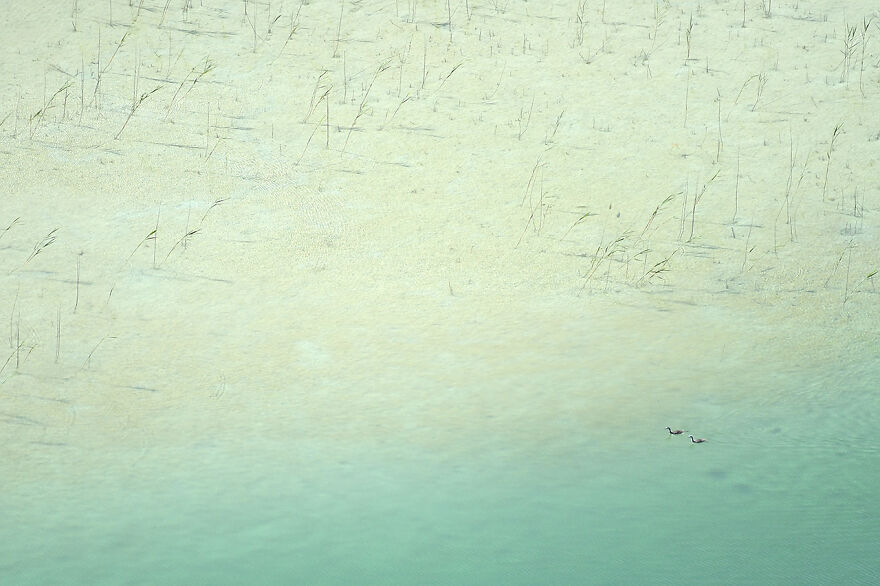 Highly Commended, Youth: "The Lagoon Lovers" By Emelin Dupieux