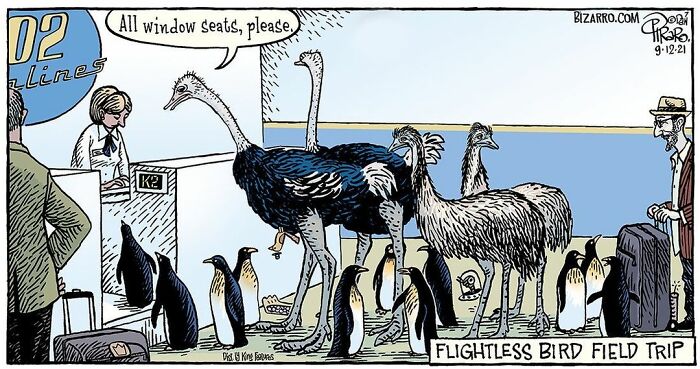 New Nostalgic And Silly Dan Piraro Comics With Sudden Twists