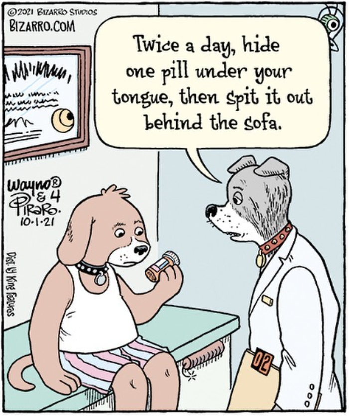 New Nostalgic And Silly Dan Piraro Comics With Sudden Twists