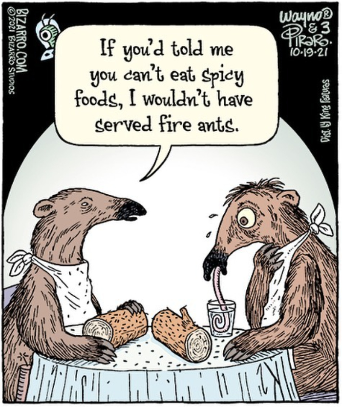 New Nostalgic And Silly Dan Piraro Comics With Sudden Twists