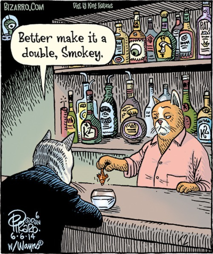 New Nostalgic And Silly Dan Piraro Comics With Sudden Twists