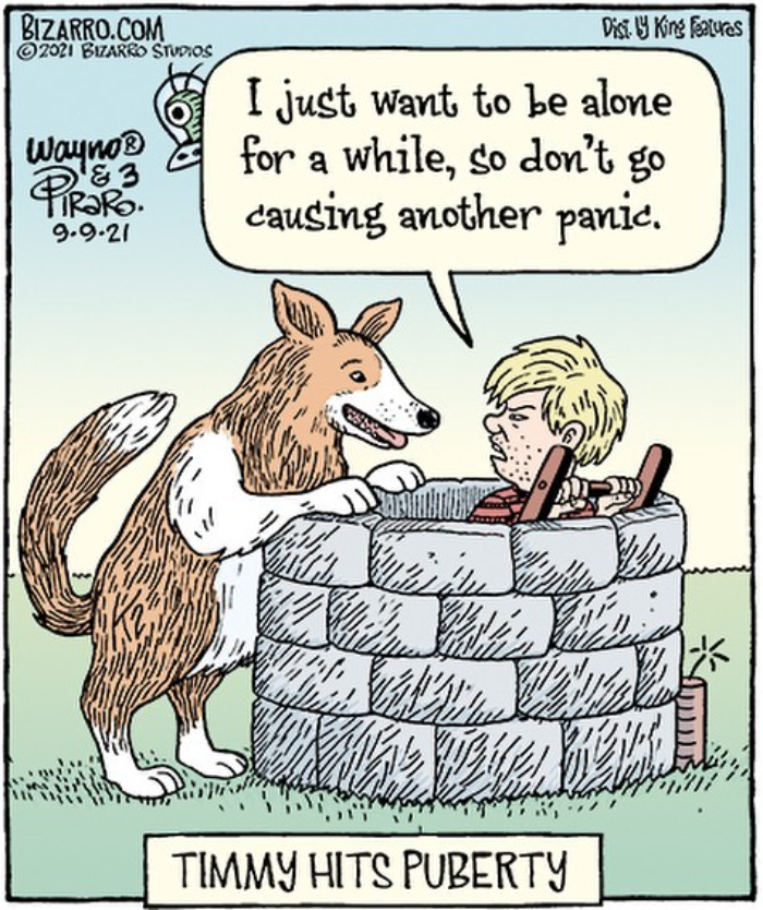 New Nostalgic And Silly Dan Piraro Comics With Sudden Twists