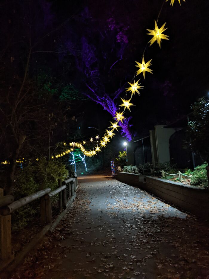 I Took This Photo At A Lantern Festival At A Zoo.