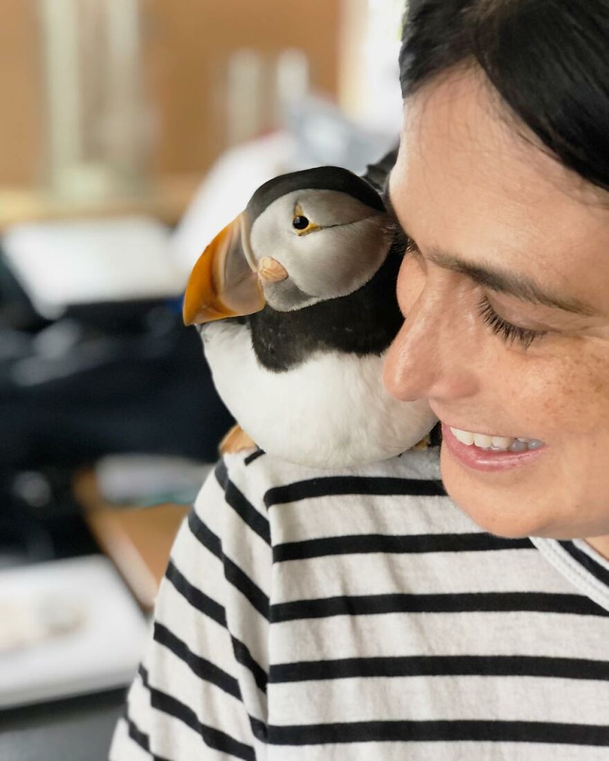 Photographer Captures The True Personality Of Birds In Her Photographs