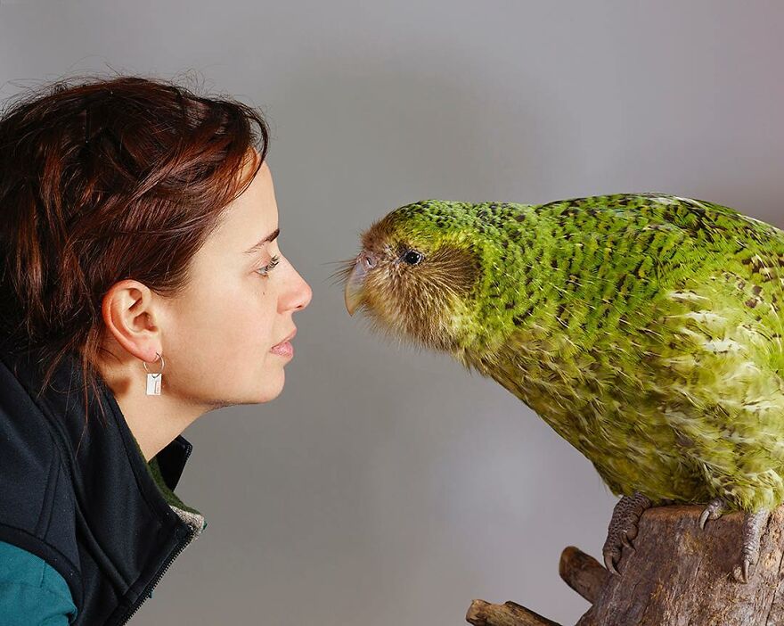 Photographer Captures The True Personality Of Birds In Her Photographs