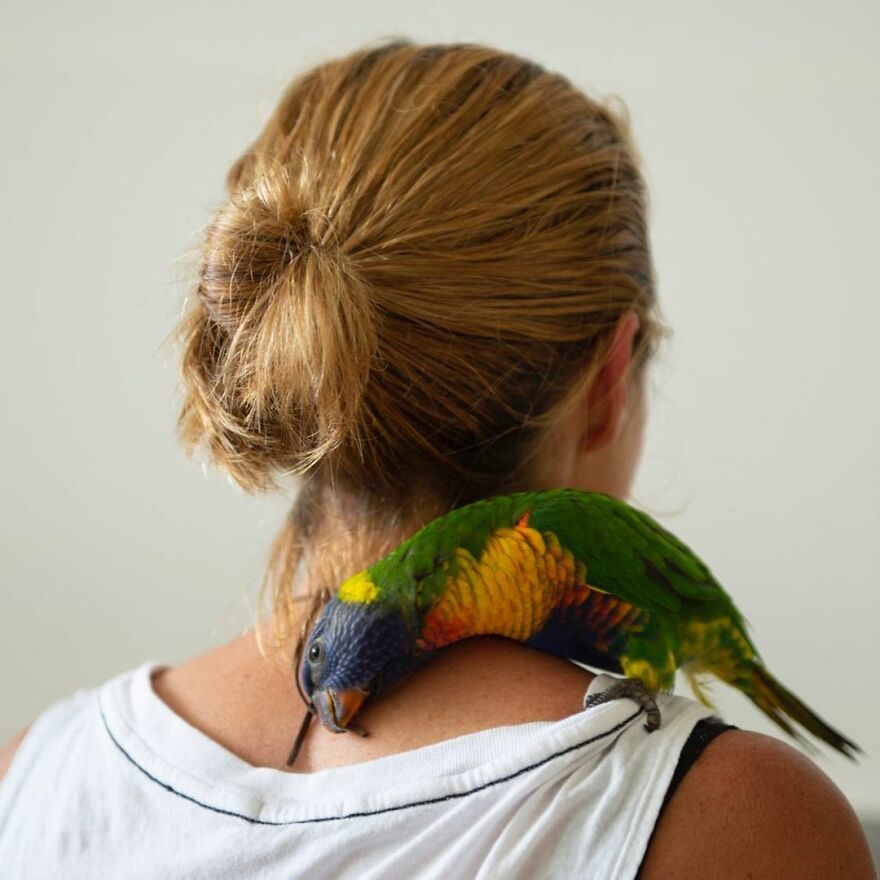 Photographer Captures The True Personality Of Birds In Her Photographs