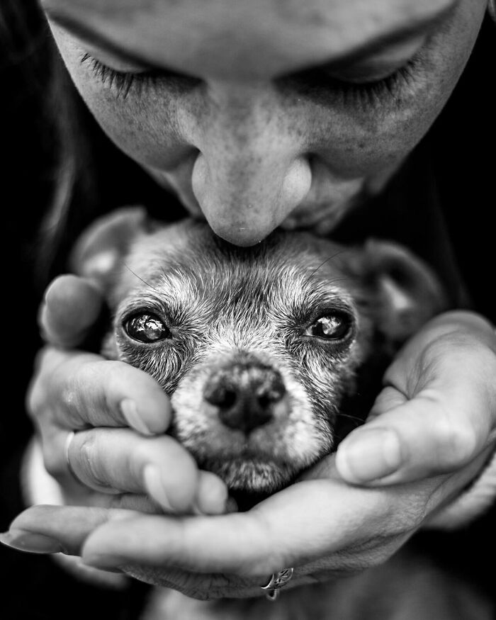 Photographer Takes Pictures Of Animals Near The End Of Life With Their Owners