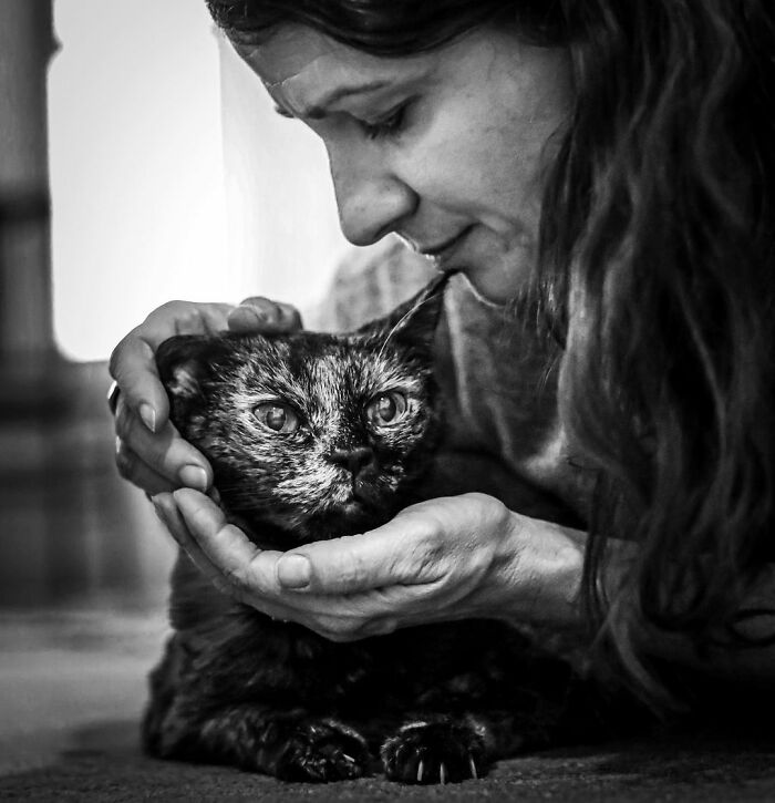 Photographer Takes Pictures Of Animals Near The End Of Life With Their Owners