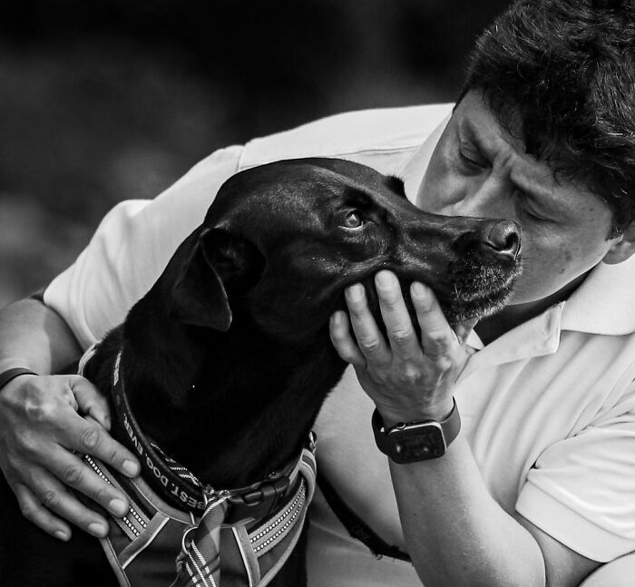 Photographer Takes Pictures Of Animals Near The End Of Life With Their Owners