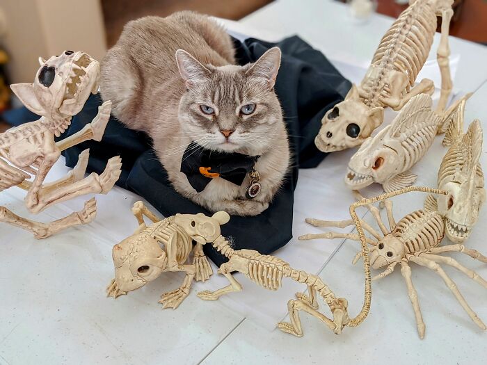 Phyllis With Her "Trophies"