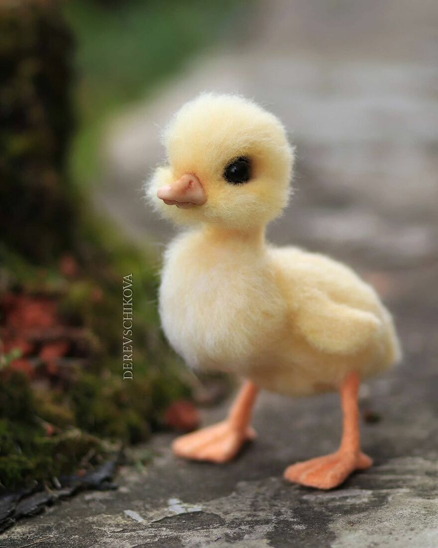 Russian Artist Creates Truly Delicious Felted Wool Animals (New Pics)