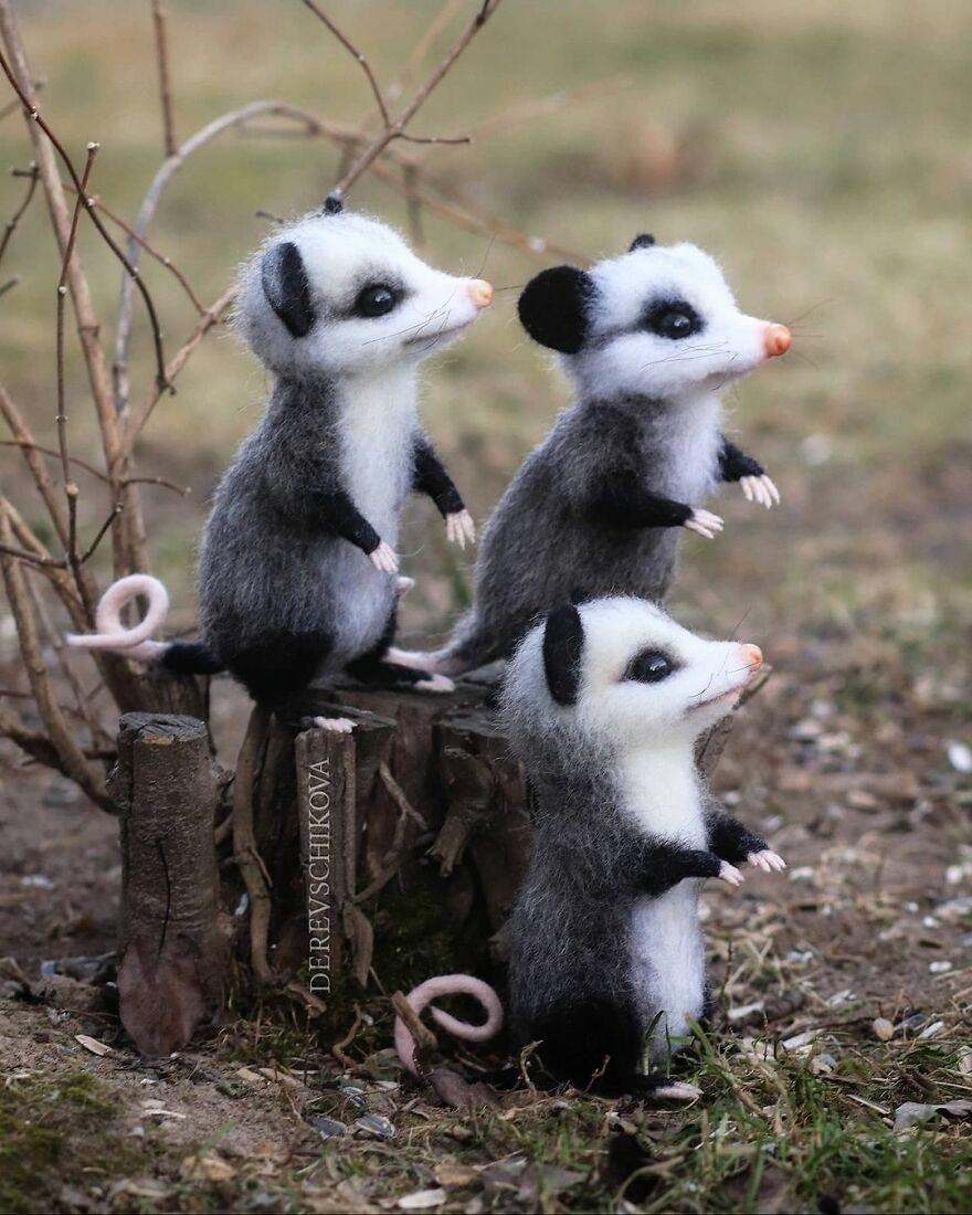 Russian Artist Creates Truly Delicious Felted Wool Animals (New Pics)