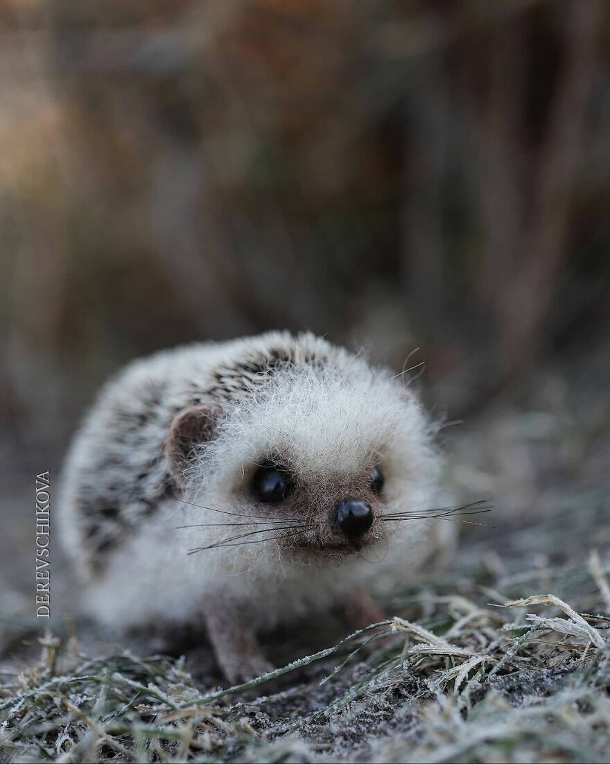 Russian Artist Creates Truly Delicious Felted Wool Animals (New Pics)