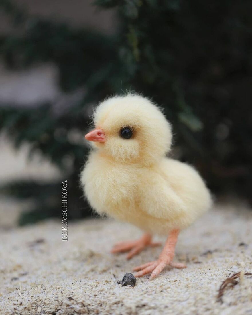 Russian Artist Creates Truly Delicious Felted Wool Animals (New Pics)
