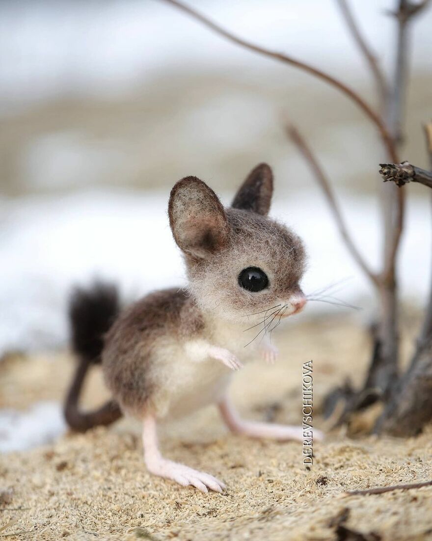 Russian Artist Creates Truly Delicious Felted Wool Animals (New Pics)