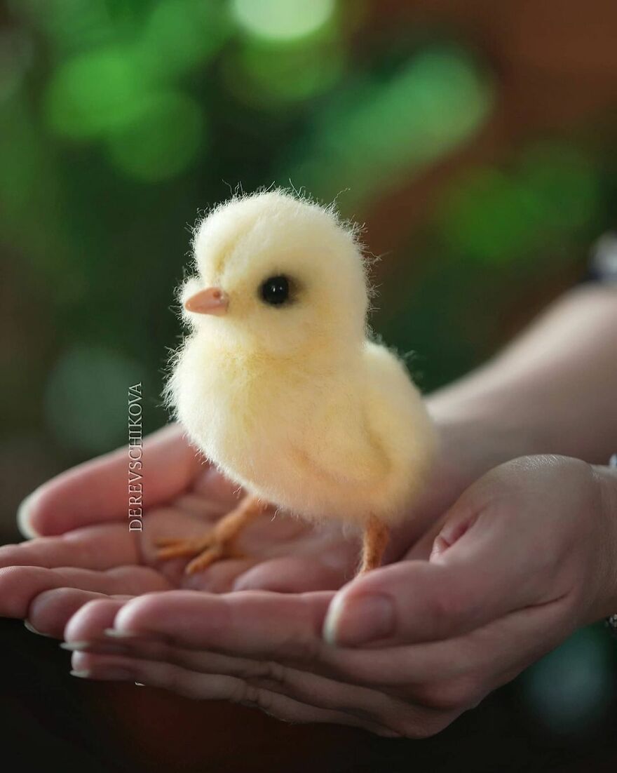 Russian Artist Creates Truly Delicious Felted Wool Animals (New Pics)