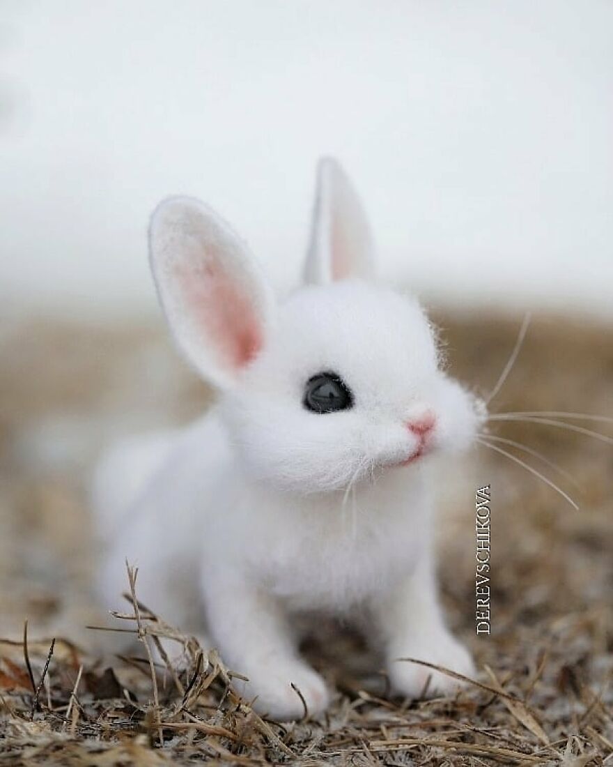 Russian Artist Creates Truly Delicious Felted Wool Animals (New Pics)