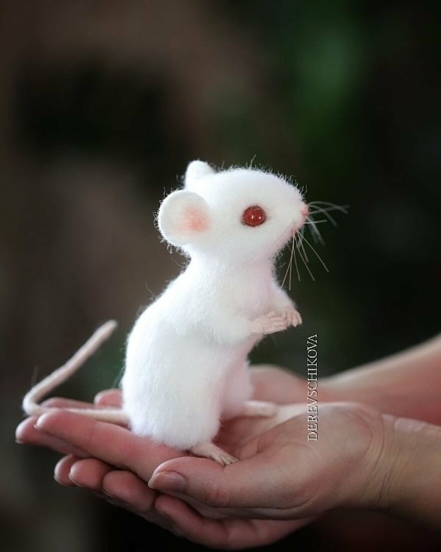 Russian Artist Creates Truly Delicious Felted Wool Animals (New Pics)