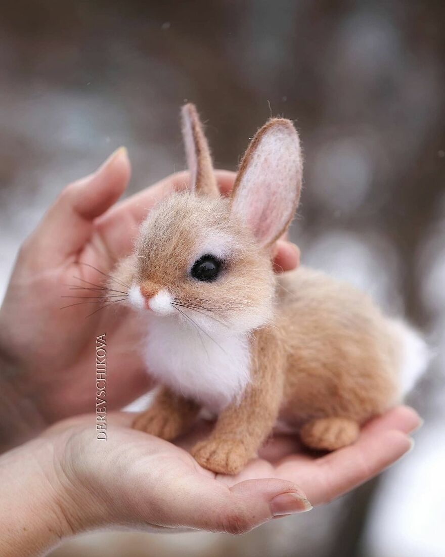 Russian Artist Creates Truly Delicious Felted Wool Animals (New Pics)