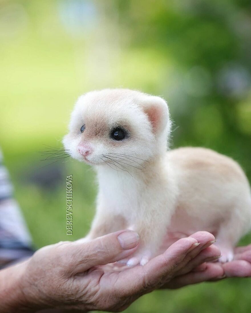 Russian Artist Creates Truly Delicious Felted Wool Animals (New Pics)
