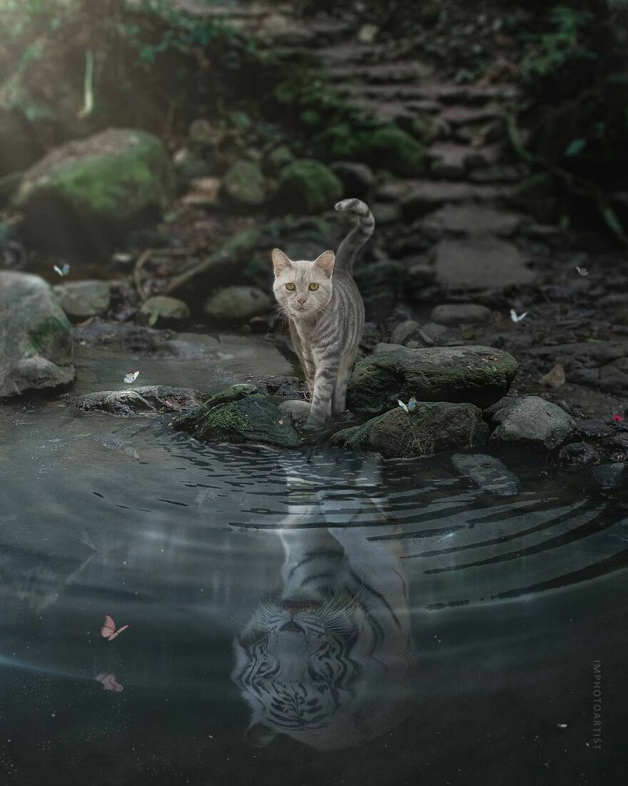 Sarang Bhagat And Her Honest Digital Arts About Life (29 Pics)