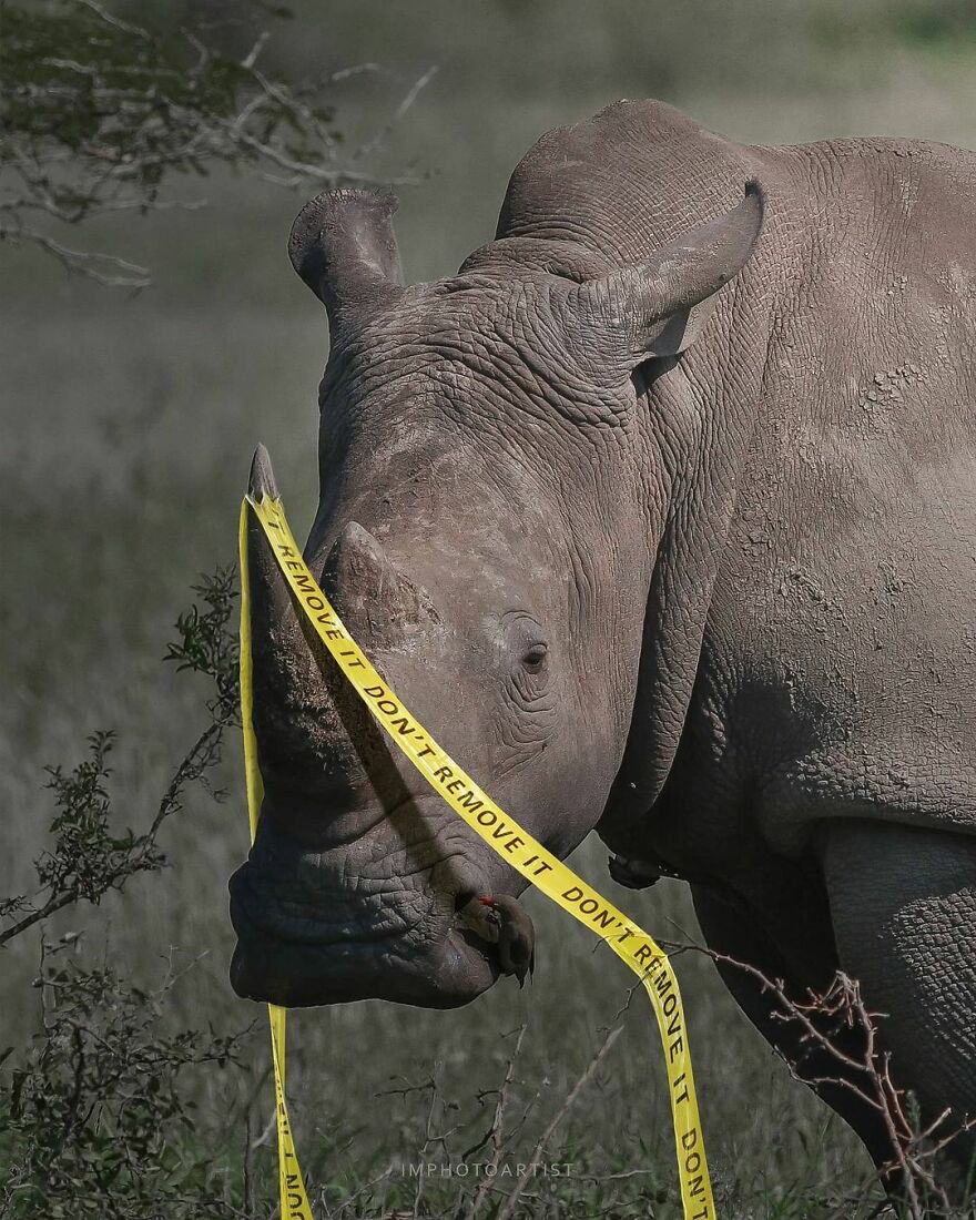 Sarang Bhagat And Her Honest Digital Arts About Life (29 Pics)