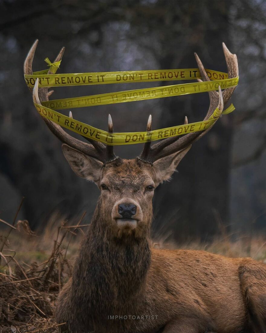 Sarang Bhagat And Her Honest Digital Arts About Life (29 Pics)