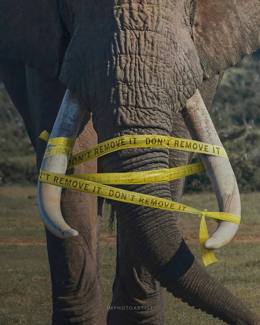 Sarang Bhagat And Her Honest Digital Arts About Life (29 Pics)