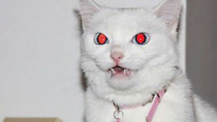 She Came Straight From The Underworld