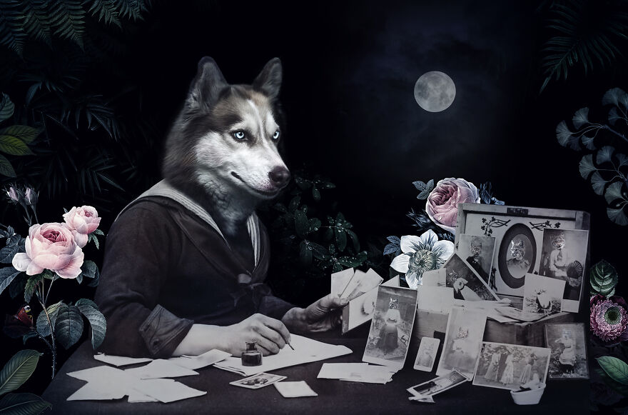 Never Forget The Forest - We Created Magical Collages Dedicated To Animals, Nature And Our Fragile Planet. Never Forget The Forest - We Created Magical Collages Dedicated To Animals, Nature And Our Fragile Planet.