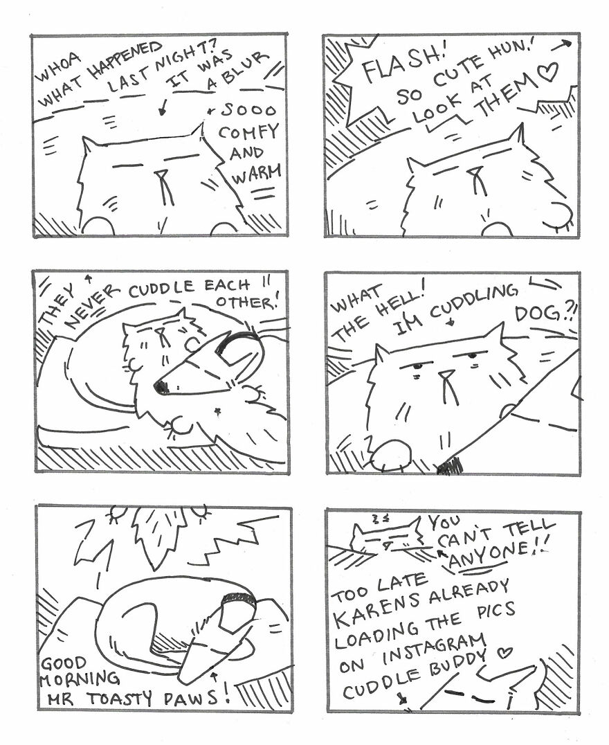 I Created A Festive Holiday Story About A Cat And Dog Trying To Get Along On Christmas