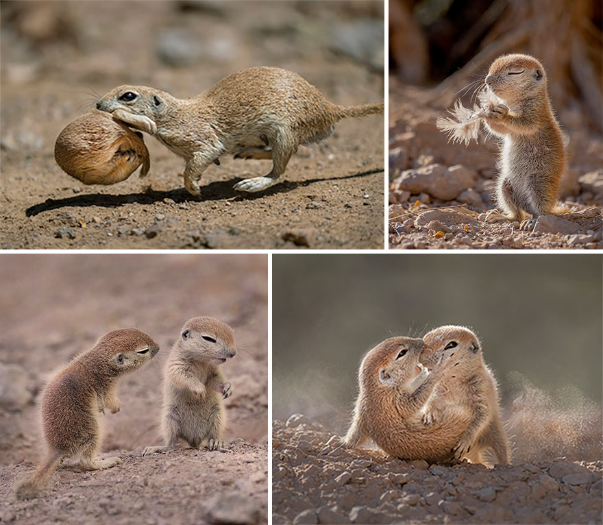 Winner, Fred Hazelhoff Portfolio Award: "Emotional Range" By Lea Lee Inoue