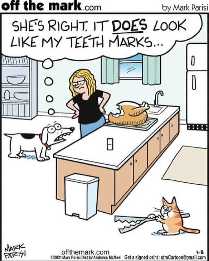 Funny comic by legendary cartoonist shows a dog caught near a bitten turkey with a suspicious cat holding tongs.