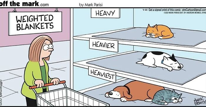 Woman shopping for weighted blankets depicted as sleeping pets on shelves in a funny comic by a legendary cartoonist.