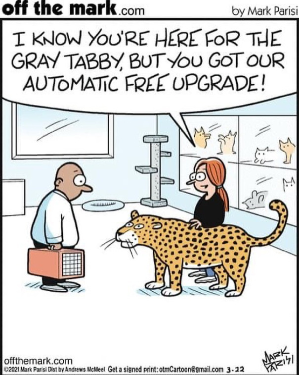 These Comics By A Legendary Cartoonist Might Make Your Day (New Pics)