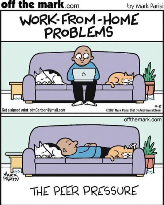 Cartoon showing funny work-from-home problems with peer pressure from relaxed pets on a couch by a legendary cartoonist.