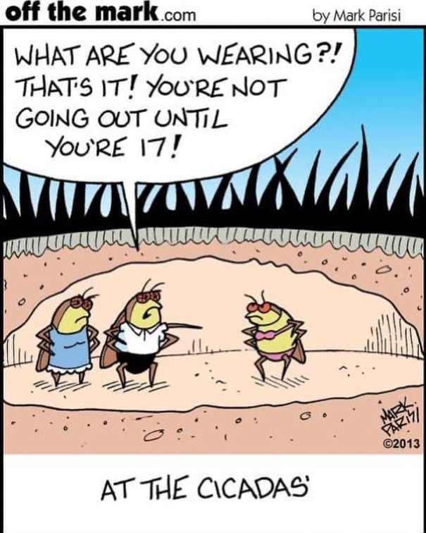 These Comics By A Legendary Cartoonist Might Make Your Day (New Pics)