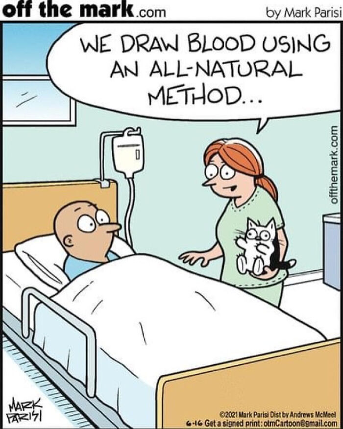 Cartoonist’s funny comic shows a nurse with a cat explaining an all-natural blood drawing method to a patient in bed.