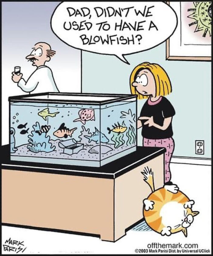 Funny comic by a legendary cartoonist showing a girl asking her dad about a blowfish near a fish tank and a chubby cat on the floor.