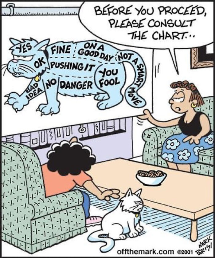 Cartoon of a cat behavior chart with labeled zones and two people discussing it in a funny comic style.