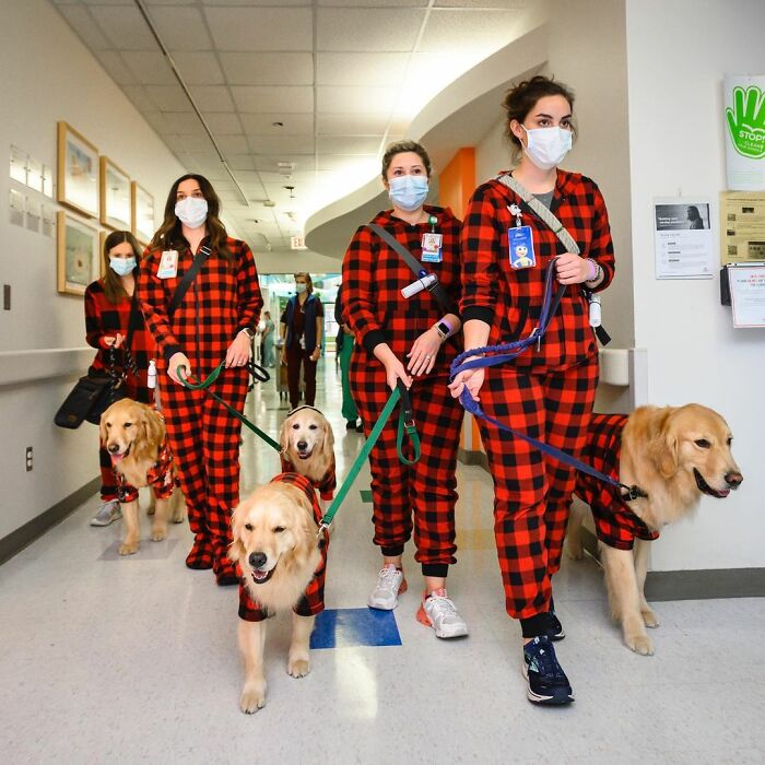 These Dogs Brought A Lot Of Joy To Ill Children That Had To Spend Christmas In A Hospital These Dogs Brought A Lot Of Joy To Ill Children That Had To Spend Christmas In A Hospital